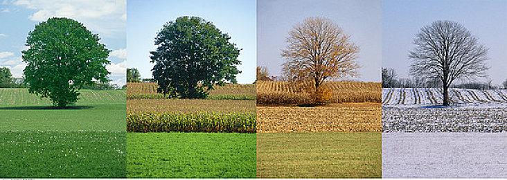 《逃离塔科夫》官方：打击外挂是首要任务