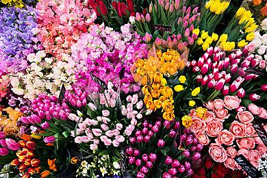 Google反告Epic Games违反Play Store合约