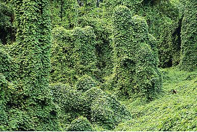 《如龙8》Steam特别好评！情怀满满 画面很棒